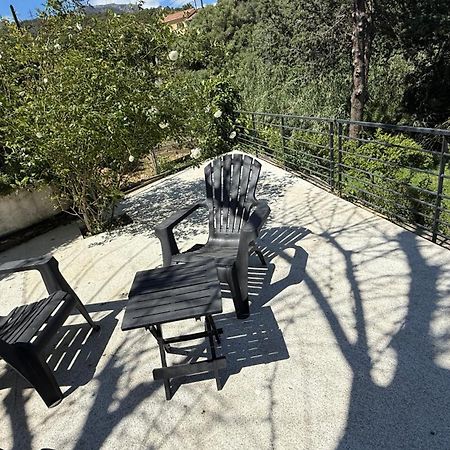A Casa Corbaia Appartement 40 M2, Jardin Prive, Parking, Proche Centre Ville Et Mer Apartment 40 M2, Private Garden Parking Near Town Center And Sea Port And Airport Bastia  Exteriér fotografie